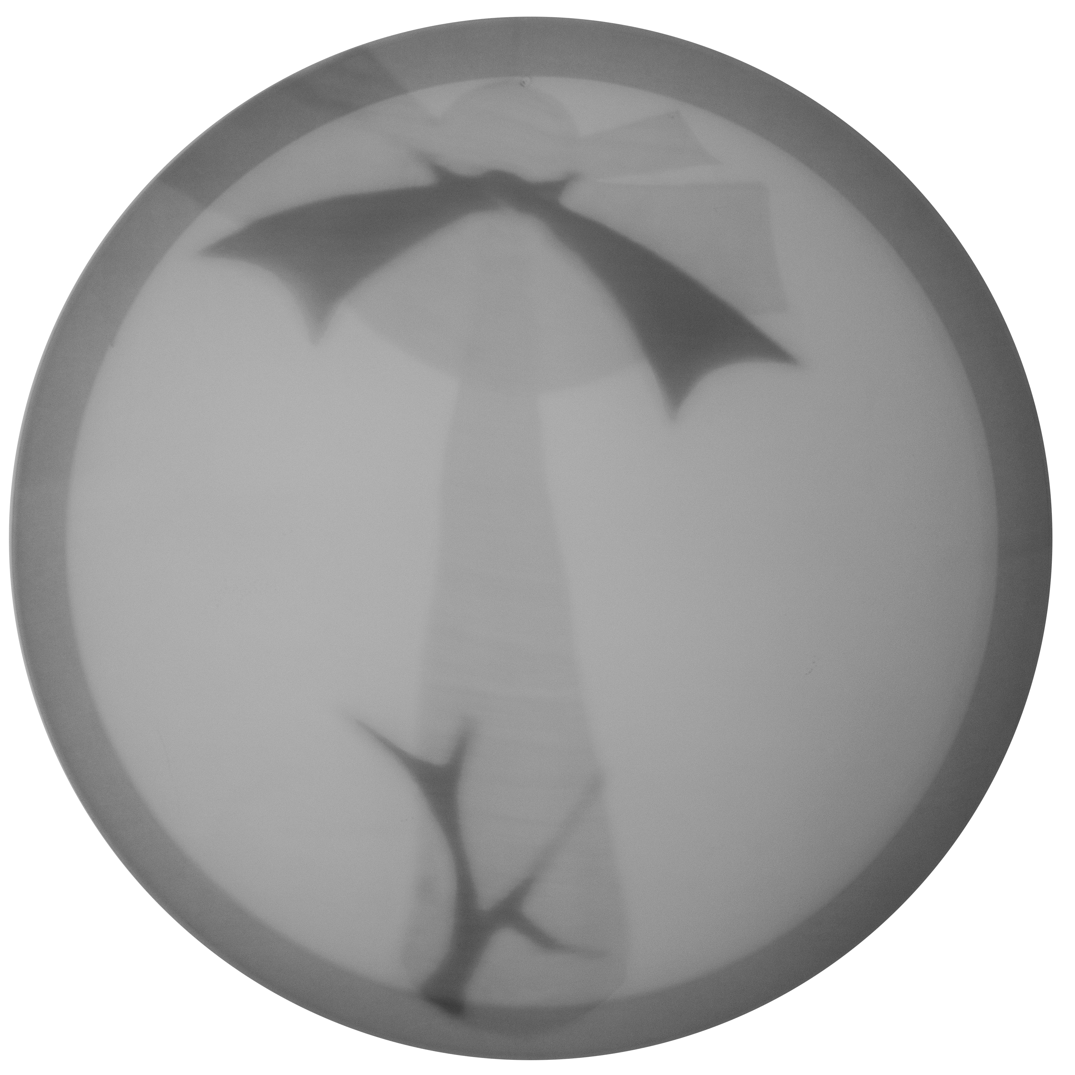 Luna Libra — Sublimado sobre voile